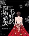 隔壁BOSS有点闲